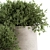 Concrete Pot Outdoor Tree Set 3D model small image 2