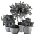 Botanical Bliss: Set 128 Outdoor Plants in Concrete Pots 3D model small image 5