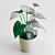 Tropical Beauty: Anthurium Plant 3D model small image 2