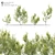 Evergreen Elegance: Four Young Olive Trees 3D model small image 1