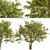 Evergreen Ash Trees Set (2 Trees) 3D model small image 2