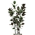 Chroma Plant Collection 3D model small image 4