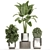 Tropical Chrome Plant Collection 3D model small image 1