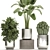 Tropical Chrome Plant Collection 3D model small image 4