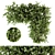 120 Ivy Plants Set - Perfect for Outdoor 3D model small image 1