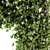 120 Ivy Plants Set - Perfect for Outdoor 3D model small image 2