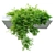 Hanging Plant - Corolla FBX 3D model small image 3