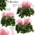 Featherleaf Rodgersia: Set of 3 Bushes 3D model small image 1