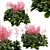 Featherleaf Rodgersia: Set of 3 Bushes 3D model small image 4