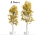 Quaking Aspen Trees (2-Piece Set) 3D model small image 1