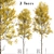 Quaking Aspen Trees (2-Piece Set) 3D model small image 2