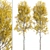 Quaking Aspen Trees (2-Piece Set) 3D model small image 3