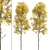 Quaking Aspen Trees (2-Piece Set) 3D model small image 4