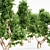 Majestic Red Gum Trees - 5 Varieties 3D model small image 3