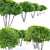 Round Coniferous Shrub Duo 3D model small image 3