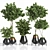 Botanic Bliss: Indoor Plant Set 3D model small image 1