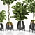 Botanic Bliss: Indoor Plant Set 3D model small image 2