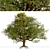 European English Oak Tree (1 Tree) 3D model small image 7