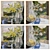 Mixed Framed Wall Paintings Set 3D model small image 3