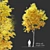 
"Autumn Splendor Ash Tree: 10m Height, Separated Trunk and Leaves, 752k+ Polys, Corona & 3D model small image 1