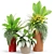  Vibrant Botanical Oasis: Plants Collection 436 3D model small image 2