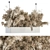 Eco Dried Plant Set 116 3D model small image 1