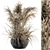 Vintage Dried Plant Set 3D model small image 1