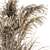 Vintage Dried Plant Set 3D model small image 2