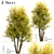 Common Lime Tree Set (2 Trees) 3D model small image 3