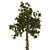 2013 Tree2 - V-Ray Render, 3Ds Max & FBX Formats 3D model small image 3