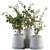 Elegant Blooms - Vase Included 3D model small image 1