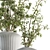 Elegant Blooms - Vase Included 3D model small image 3