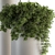 Green and White Indoor Plant Set 3D model small image 3