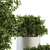 Green and White Indoor Plant Set 3D model small image 4