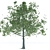 Elegant Maple Tree Sculpture 3D model small image 3