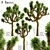Desert Majesty: Set of 3 Joshua Trees 3D model small image 2