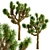 Desert Majesty: Set of 3 Joshua Trees 3D model small image 4