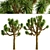 Desert Majesty: Set of 3 Joshua Trees 3D model small image 5