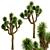 Desert Majesty: Set of 3 Joshua Trees 3D model small image 6