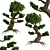 Miniature Bonsai Duo: 2 Enchanting Trees 3D model small image 3