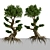 Miniature Bonsai Duo: 2 Enchanting Trees 3D model small image 5