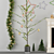 Festive Holiday Decor Set 3D model small image 2