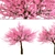 Thrive with Eastern Redbud Trees! 3D model small image 5