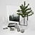 Scandi Decor Set: Cedar Branch, Books, Frames, Vases 3D model small image 3