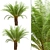 Tropical Tree Fern Trio (3 Trees) 3D model small image 3