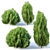  Oriental Arborvitae Set - 4 Bushes 3D model small image 1