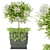 Premium Plant Collection Vol. 39 3D model small image 1