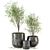 Dark Concrete Pot Outdoor Plant Set 3D model small image 2