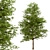 Willow Oak Trees - Autumn Beauty (2 Trees) 3D model small image 6