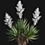 Yucca Gloriosa - Ornamental Mound of Beauty 3D model small image 5